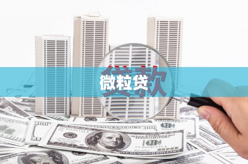龙城微粒贷
