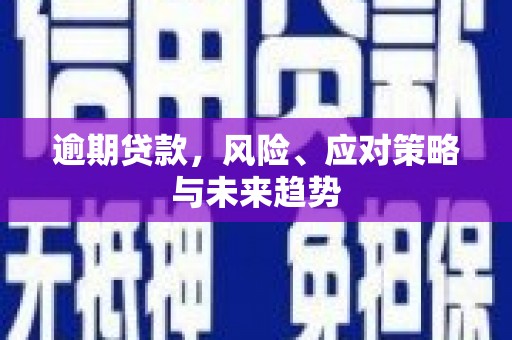 龙城逾期贷款，风险、应对策略与未来趋势