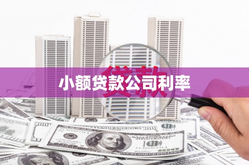 龙城小额贷款公司利率