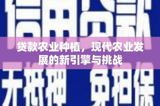 龙城贷款农业种植，现代农业发展的新引擎与挑战
