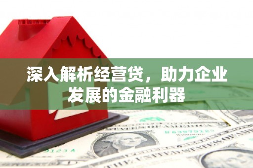 龙城深入解析经营贷，助力企业发展的金融利器