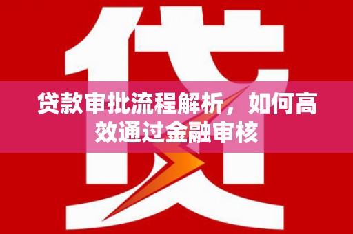 龙城贷款审批流程解析，如何高效通过金融审核