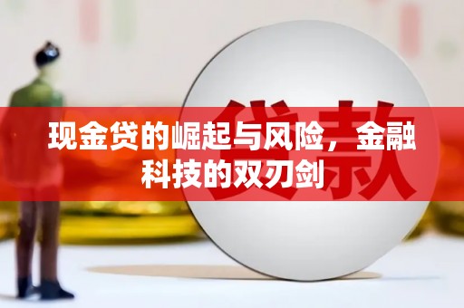 龙城现金贷的崛起与风险，金融科技的双刃剑
