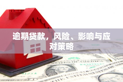 龙城逾期贷款，风险、影响与应对策略