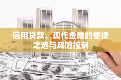 龙城信用贷款，现代金融的便捷之选与风险控制