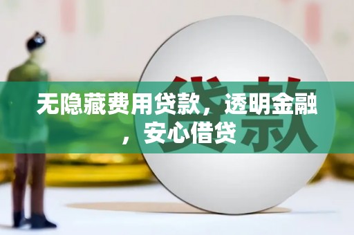龙城无隐藏费用贷款，透明金融，安心借贷