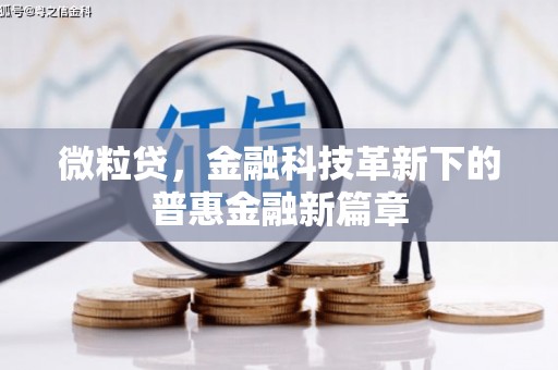 龙城微粒贷，金融科技革新下的普惠金融新篇章
