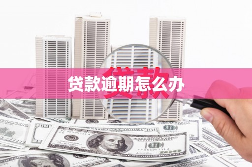 龙城贷款逾期怎么办