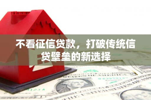 龙城不看征信贷款，打破传统信贷壁垒的新选择
