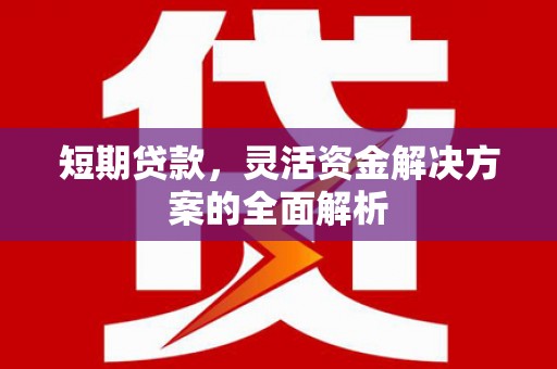 龙城短期贷款，灵活资金解决方案的全面解析