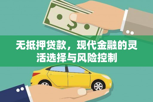 龙城无抵押贷款，现代金融的灵活选择与风险控制