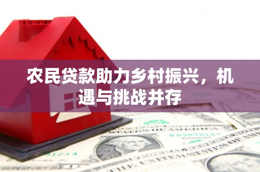 龙城农民贷款助力乡村振兴，机遇与挑战并存