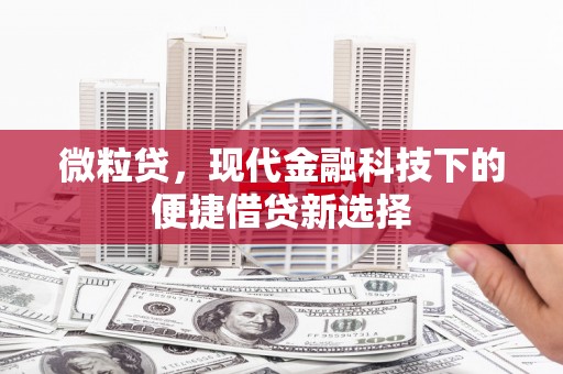 龙城微粒贷，现代金融科技下的便捷借贷新选择