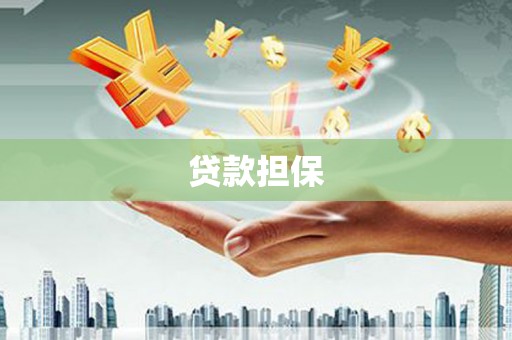 龙城贷款担保