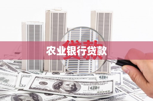 龙城农业银行贷款