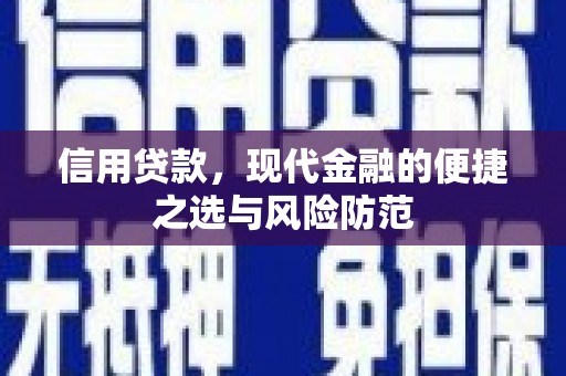 龙城信用贷款，现代金融的便捷之选与风险防范