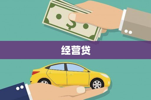 龙城经营贷