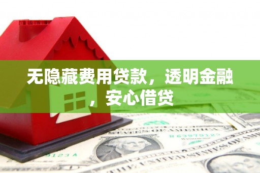 龙城无隐藏费用贷款，透明金融，安心借贷