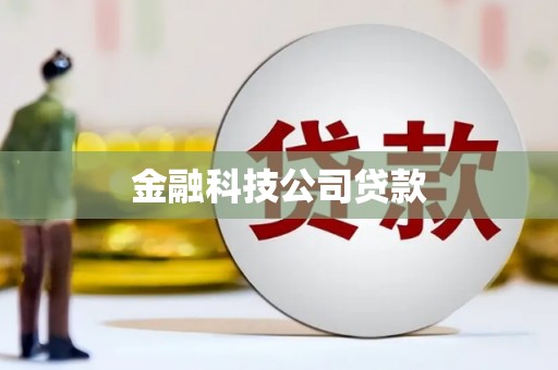 龙城金融科技公司贷款