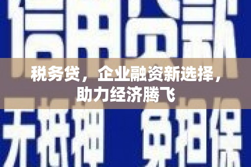 龙城税务贷，企业融资新选择，助力经济腾飞