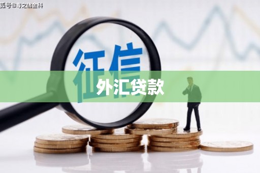龙城外汇贷款