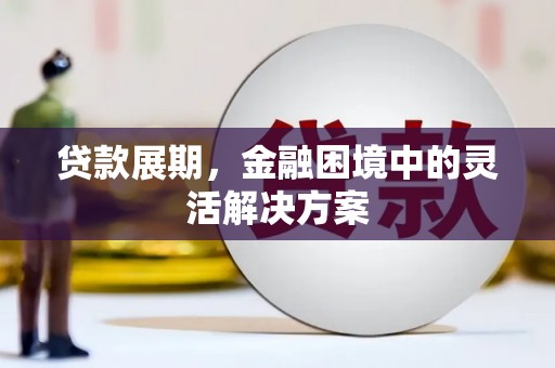 龙城贷款展期，金融困境中的灵活解决方案