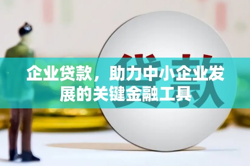 龙城企业贷款，助力中小企业发展的关键金融工具