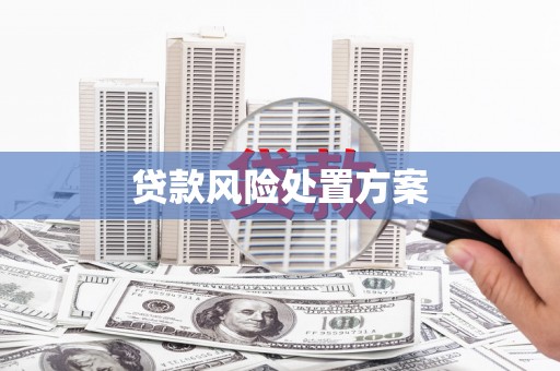 龙城贷款风险处置方案