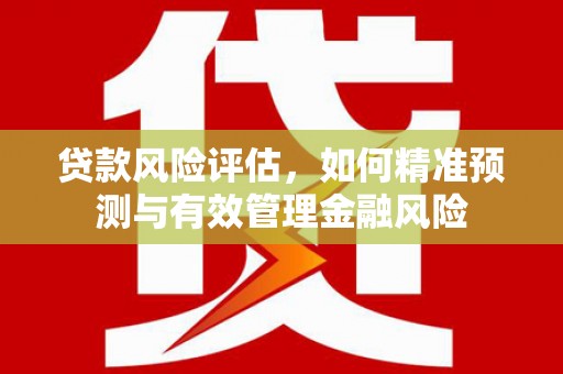 龙城贷款风险评估，如何精准预测与有效管理金融风险