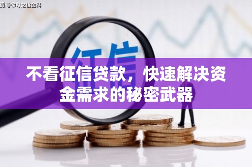 龙城不看征信贷款，快速解决资金需求的秘密武器
