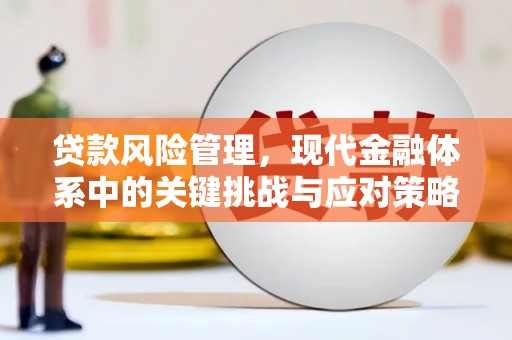 龙城贷款风险管理，现代金融体系中的关键挑战与应对策略