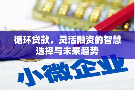 龙城循环贷款，灵活融资的智慧选择与未来趋势