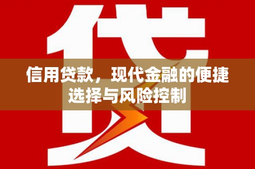 龙城信用贷款，现代金融的便捷选择与风险控制