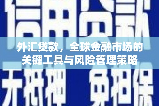 龙城外汇贷款，全球金融市场的关键工具与风险管理策略