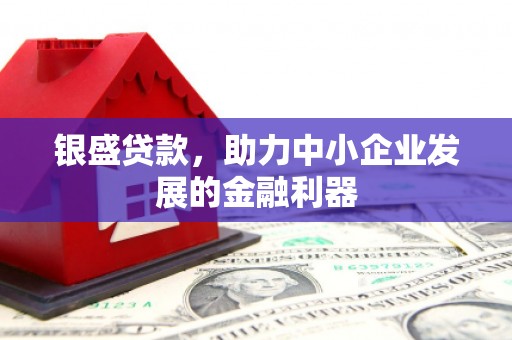 龙城银盛贷款，助力中小企业发展的金融利器