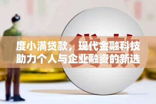 龙城度小满贷款，现代金融科技助力个人与企业融资的新选择