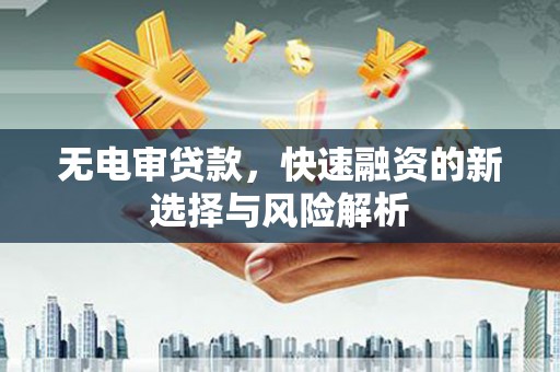 龙城无电审贷款，快速融资的新选择与风险解析