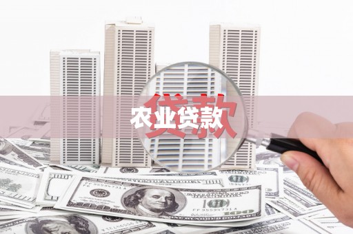 龙城农业贷款