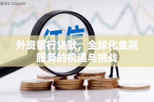 龙城外资银行贷款，全球化金融服务的机遇与挑战