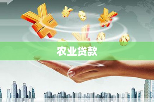 龙城农业贷款