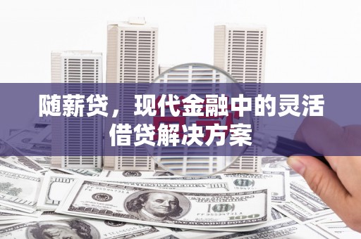龙城随薪贷，现代金融中的灵活借贷解决方案