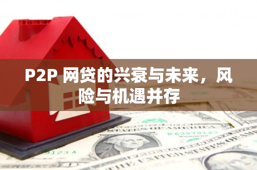 龙城P2P 网贷的兴衰与未来，风险与机遇并存