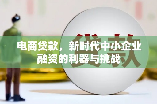 龙城电商贷款，新时代中小企业融资的利器与挑战