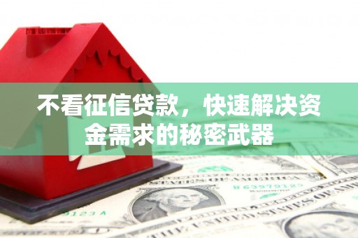 龙城不看征信贷款，快速解决资金需求的秘密武器