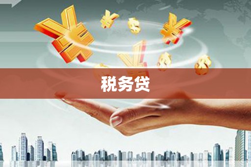 龙城税务贷