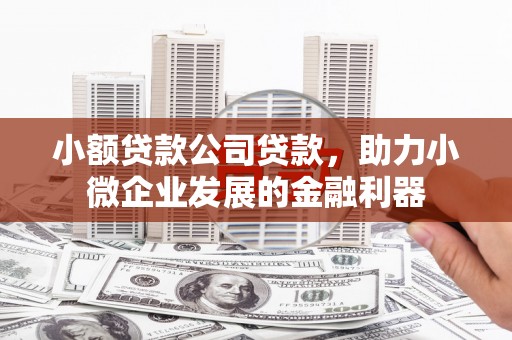 龙城小额贷款公司贷款，助力小微企业发展的金融利器