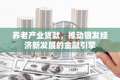 龙城养老产业贷款，推动银发经济新发展的金融引擎