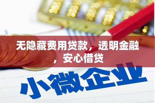 龙城无隐藏费用贷款，透明金融，安心借贷