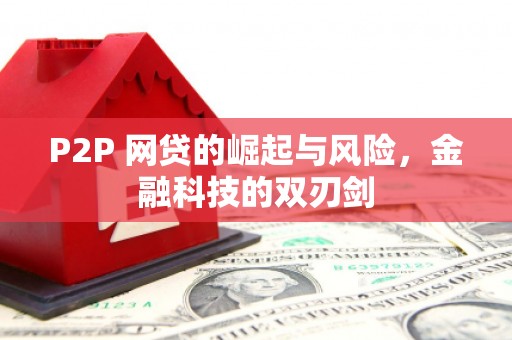龙城P2P 网贷的崛起与风险，金融科技的双刃剑
