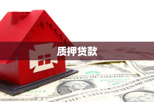 龙城质押贷款